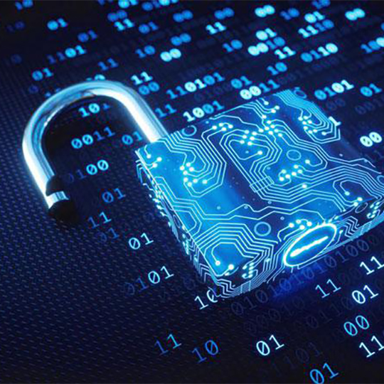 Seguridad y privacidad de los datos